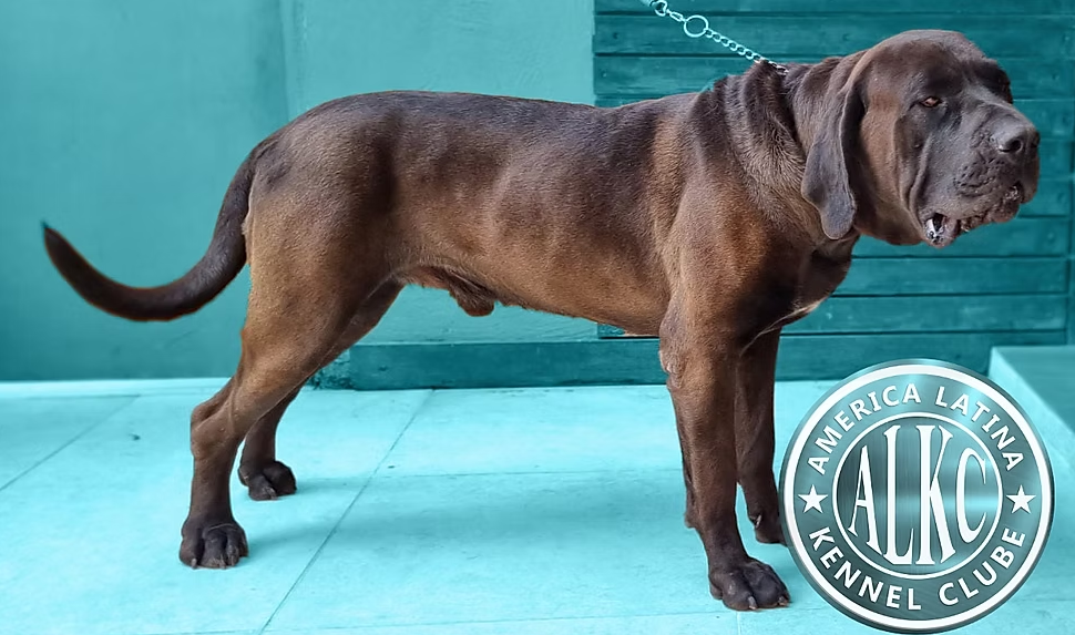 Captura de tela 2025-08-29 143841