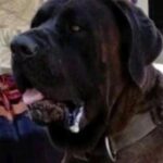 WhatsApp Image 2025-06-30 at 14.13.03 (1)