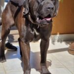 WhatsApp Image 2025-06-30 at 14.13.03