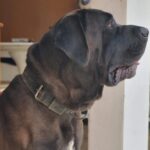 WhatsApp Image 2025-06-30 at 14.13.03 (2)