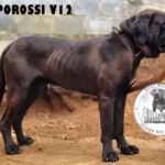 WhatsApp Image 2025-06-30 at 14.13.03 (4)