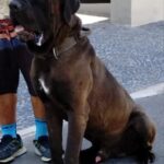 WhatsApp Image 2025-06-30 at 14.13.04