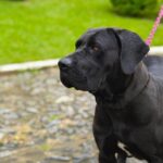 WhatsApp Image 2025-06-30 at 14.13.05 (1)