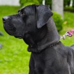 WhatsApp Image 2025-06-30 at 14.13.05