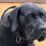 WhatsApp Image 2025-06-30 at 14.13.05 (2)