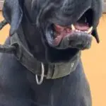 WhatsApp Image 2025-06-30 at 14.13.05 (3)