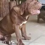 WhatsApp Image 2025-06-30 at 14.13.06