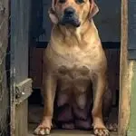 WhatsApp Image 2025-06-30 at 14.13.06 (4)