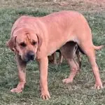 WhatsApp Image 2025-06-30 at 14.13.07