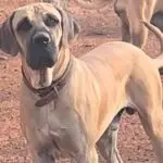 WhatsApp Image 2025-06-30 at 14.13.07 (2)