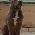 WhatsApp Image 2025-06-30 at 14.13.07 (3)