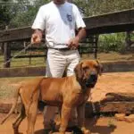 WhatsApp Image 2025-06-30 at 14.13.08 (1)