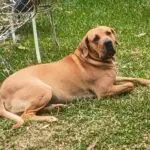 WhatsApp Image 2025-06-30 at 14.13.08