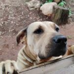 WhatsApp Image 2025-06-30 at 14.13.08 (3)