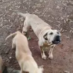 WhatsApp Image 2025-06-30 at 14.13.08 (4)