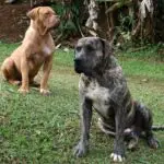 WhatsApp Image 2025-06-30 at 14.13.09 (1)