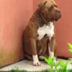 WhatsApp Image 2025-06-30 at 14.13.09 (2)