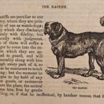 WhatsApp Image 2025-10-27 at 22.31.19 (1)