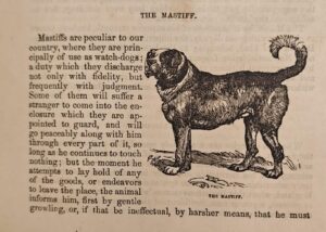 WhatsApp Image 2025-10-27 at 22.31.19 (1)