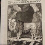 WhatsApp Image 2025-10-27 at 22.31.19