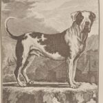 WhatsApp Image 2025-10-27 at 22.31.19 (2)