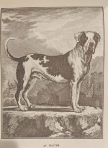 WhatsApp Image 2025-10-27 at 22.31.19 (2)