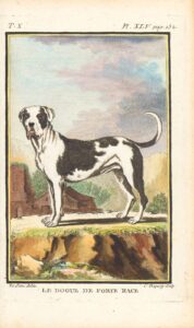 WhatsApp Image 2025-10-27 at 22.33.19