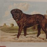 WhatsApp Image 2025-10-27 at 22.33.20 (1)