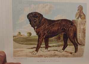 WhatsApp Image 2025-10-27 at 22.33.20 (1)