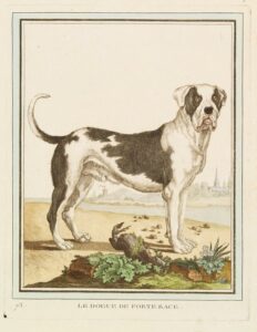 WhatsApp Image 2025-10-27 at 22.33.20 (2)