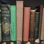 WhatsApp Image 2025-10-27 at 22.33.20 (3)