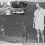 WhatsApp Image 2025-10-27 at 22.39.07