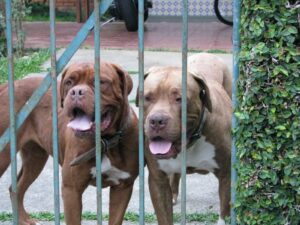 Marechal e Gulag - Mãe e Filho